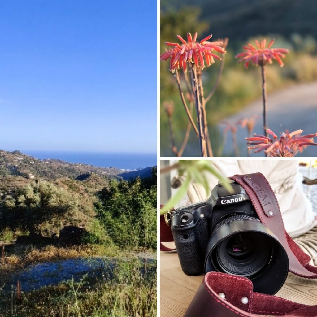 Montage of the view over Competa, some flowers, and my Canon 70D